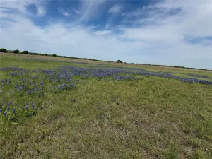 Alvarado, TX 76009