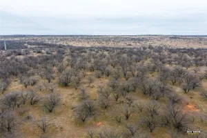 Baird, TX 79504