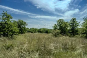 Henrietta, TX 76230