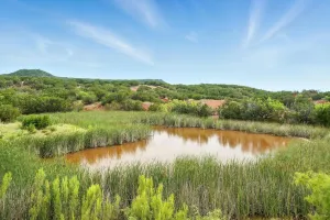 Lawn, TX 79530