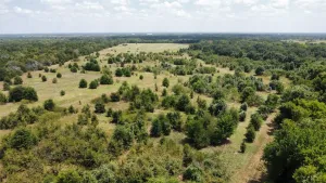 Terrell, TX 75161