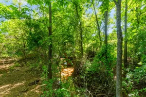 Ringgold, TX 76261