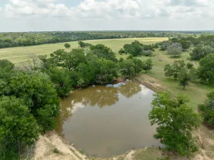Jonesboro, TX 76538
