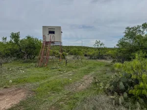Voss, TX 76888