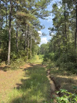 Garrison, TX 75946