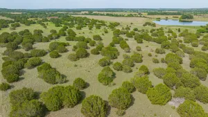 Walnut Springs, TX 76690