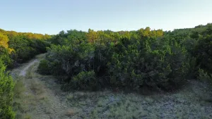 Abilene, TX 79602