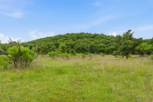 Bowie, TX 76230