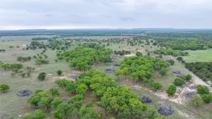 Ovalo, TX 79541