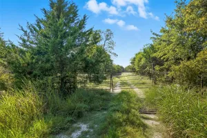 Lone Oak, TX 75453