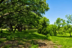 Rochelle, TX 76872