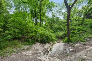 Cedar Hill, TX 75104