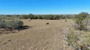 Gonzales, TX 78632