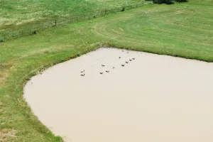 Flower Mound, TX 75022