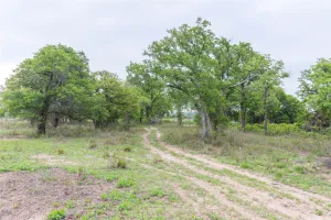 Ovalo, TX 79541