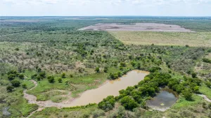 Throckmorton, TX 76843