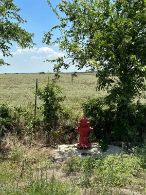 Tioga, TX 76271