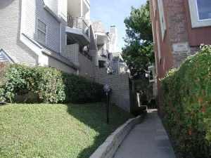 Dallas, TX 75204