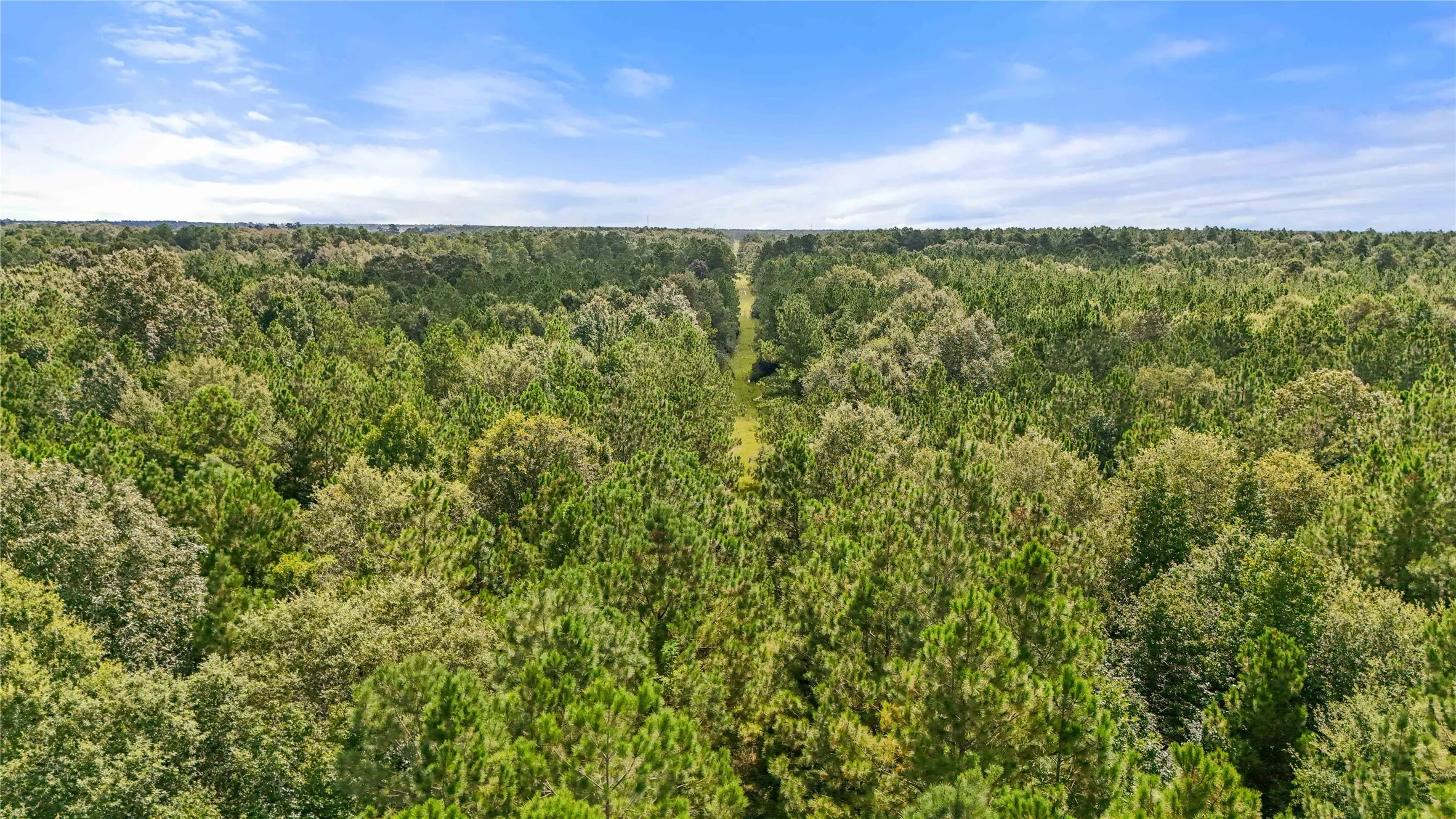 Sour Lake, TX 77659