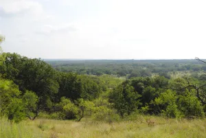 Comanche, TX 76442