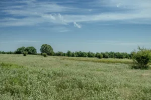 Henrietta, TX 76230