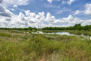 Savoy, TX 76479
