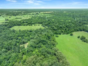 Edgewood, TX 75117