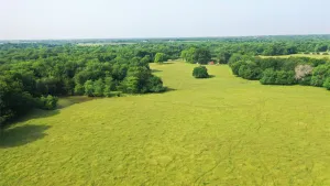 Whitewright, TX 75491