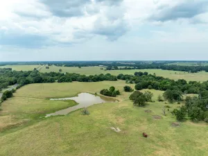 Brookston, TX 75421