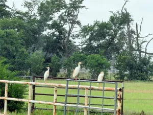 Aubrey, TX 76227