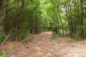 Kerens, TX 75144