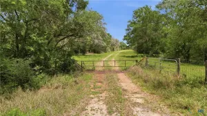 Hallettsville, TX 77964