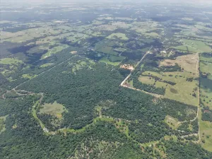 Groesbeck, TX 76642