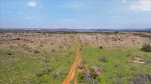 Graford, TX 76449