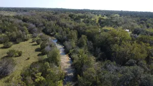 Carlton, TX 76436