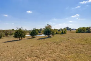 Leonard, TX 75452