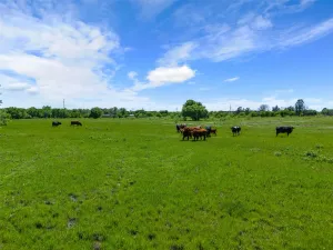 Mansfield, TX 76084