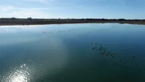 Clarksville, TX 75426