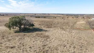 Stephenville, TX 76401
