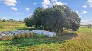 Dublin, TX 76446