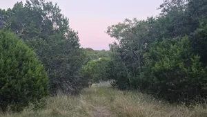 Abilene, TX 79602