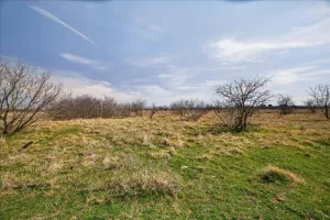 Graford, TX 76449