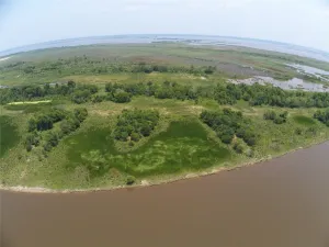 Orange, TX 77651