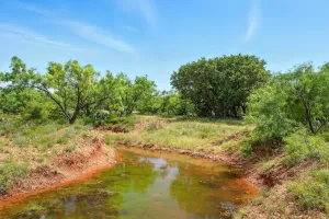 Lawn, TX 79530