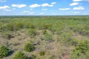 Terrell, TX 75160