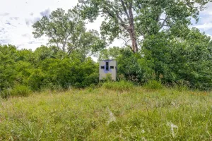 Savoy, TX 76479