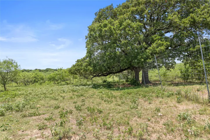 Kemp, TX 75143
