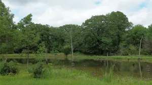 Kerens, TX 75144