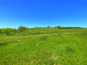 Bowie, TX 76230
