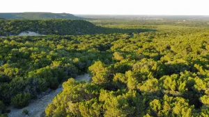 Abilene, TX 79602